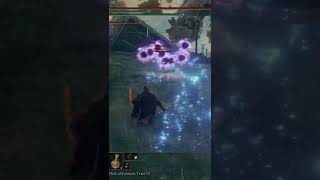 Mage Wombo Combo - Elden Ring