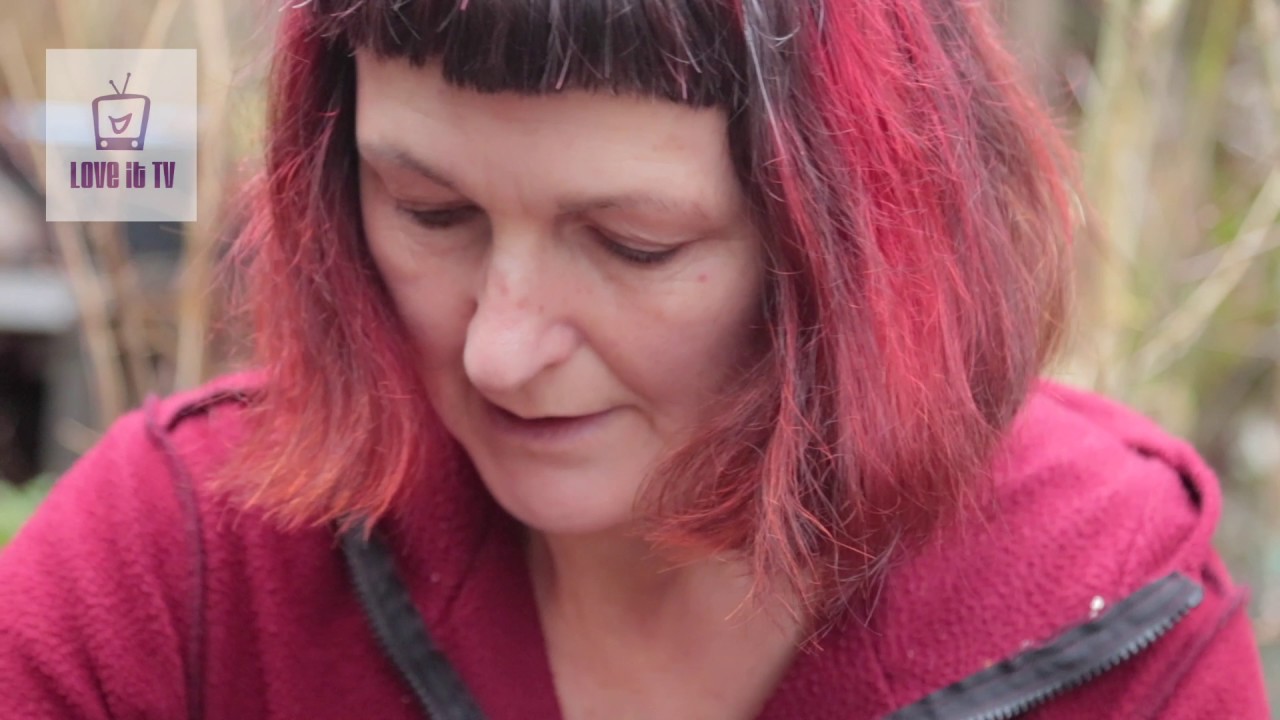 Посадка орешника из семян / Стратификация семян орешника