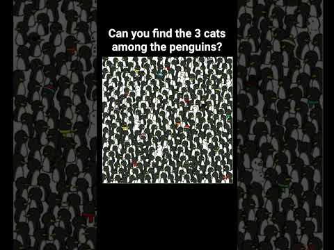 Find the hidden