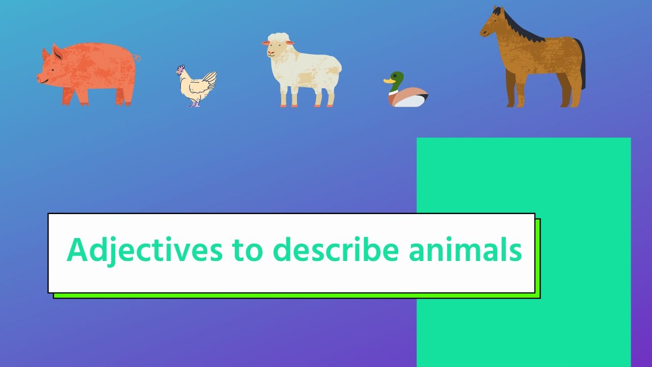 adjectives-to-describe-animals-youtube