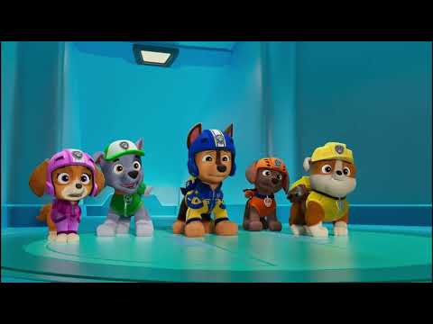 Air Rescue Wipeout | Paw Patrol