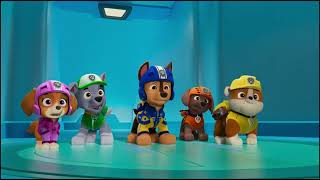 Air Rescue Wipeout Paw Patrol