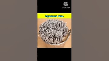 10000 Sparklers🔥 vs Milton Bottle? | @Experiment King @Crazy XYZ @MR. INDIAN HACKER #short