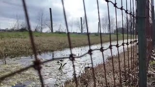 Harris County files lawsuit against company after sewage backups in Crosby community_copy