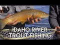 Idaho River Trout Fishing