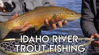 Idaho River Trout Fishing