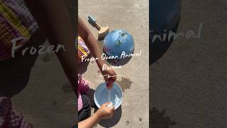 Frozen Ocean Animal Rescue | Perfect Toddler Activity for Hot Days ☀️ #activitiesforkids
