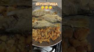 Жареные ОКУНИ с ИКРОЙ 😋природа🌿🍃 отдых 🏡лес🌳 река 💦💧💦💧