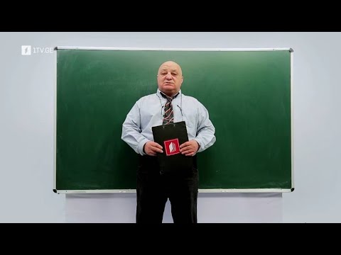 ცვანციკას ონლაინ გაკვეთილები - VI კლასი: წილადები