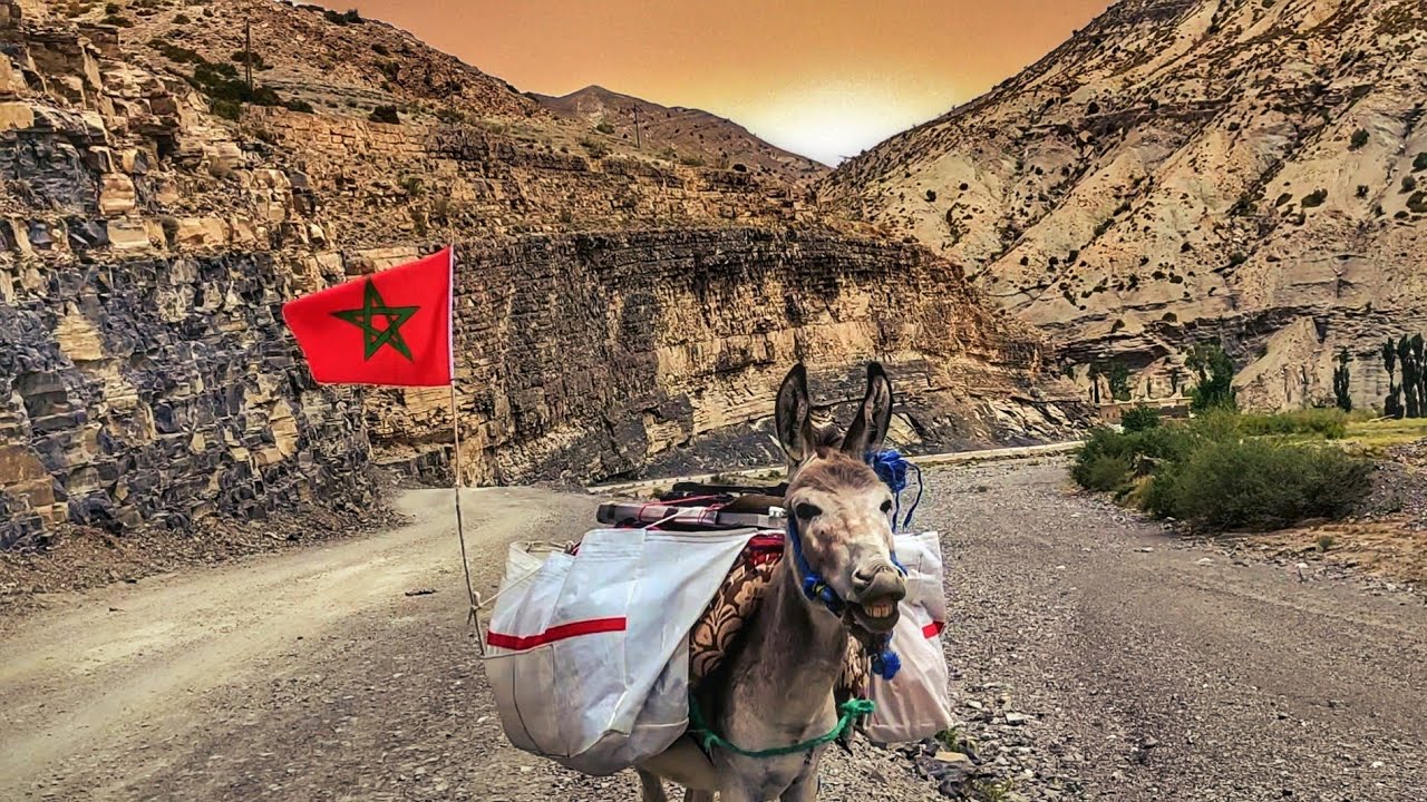 #VLOG17 | بعيدا عن المقدمية و الدرك👮‍♂️تجربة جديدة. المبيت مع راعي غنم في كوخ من الحجر فوق الجبل🐐