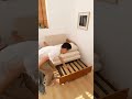 お部屋の角にすっきり🛋️一人用ソファベッド✨#sofa #sofabed #shorts #おうち時間