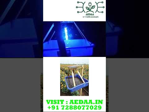 SOLAR INSECT TRAPS