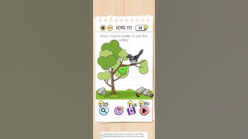 Brain test Level 171 | walkthrough solutions