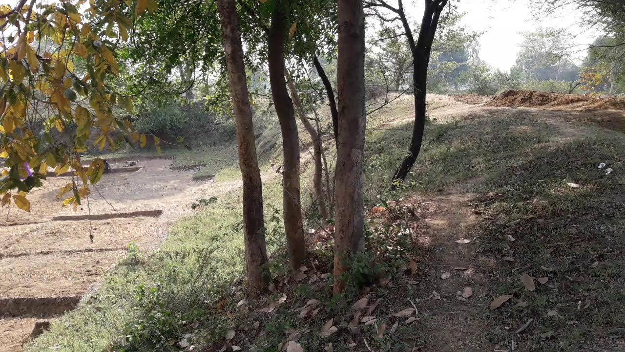 ROJGAR GUARANTY MNAREGA 2020 BAGHOUDA DURING LOCKDOWN(3)