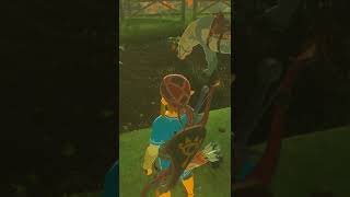 botweasy Way To Max Bond With Horses  Dueling Peaks  Breath Of The Wild  shorts