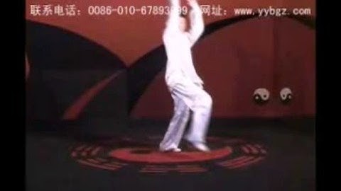 Yinyang Baguazhang - Monkey Style ; 田氏阴阳八卦掌 — 猴形掌