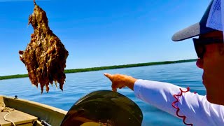 Easy Way to Catch Tons of Catfish in Shallow Water
