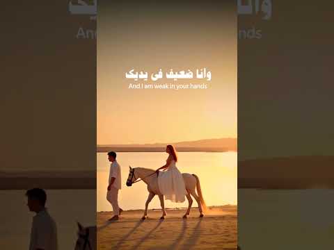 يا حلوتي وحلوتي الجزء الثاني تصميم فيديوهات اكسبلور 