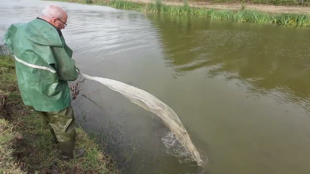 SERPME İLE BALIK AVI