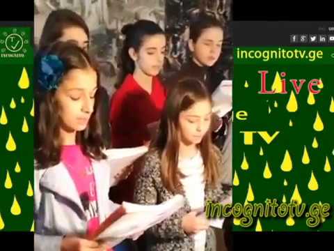 ინტერნტეტ ტელევიზია ,,ინკოგნიტოს,, კიდევ ერთი საინტერესო ლექცია.