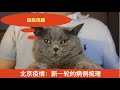 北京疫情：梳理传染链