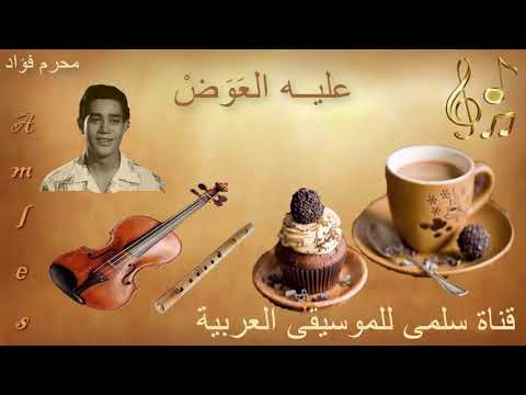 210 7 2 3 3 محرم فؤاد عليه العوض