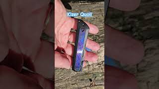 Kizer Quoll double carry today #edcknife #kizerknives #edcgear #outdoorgear #YuriyKizerEDC #shorts