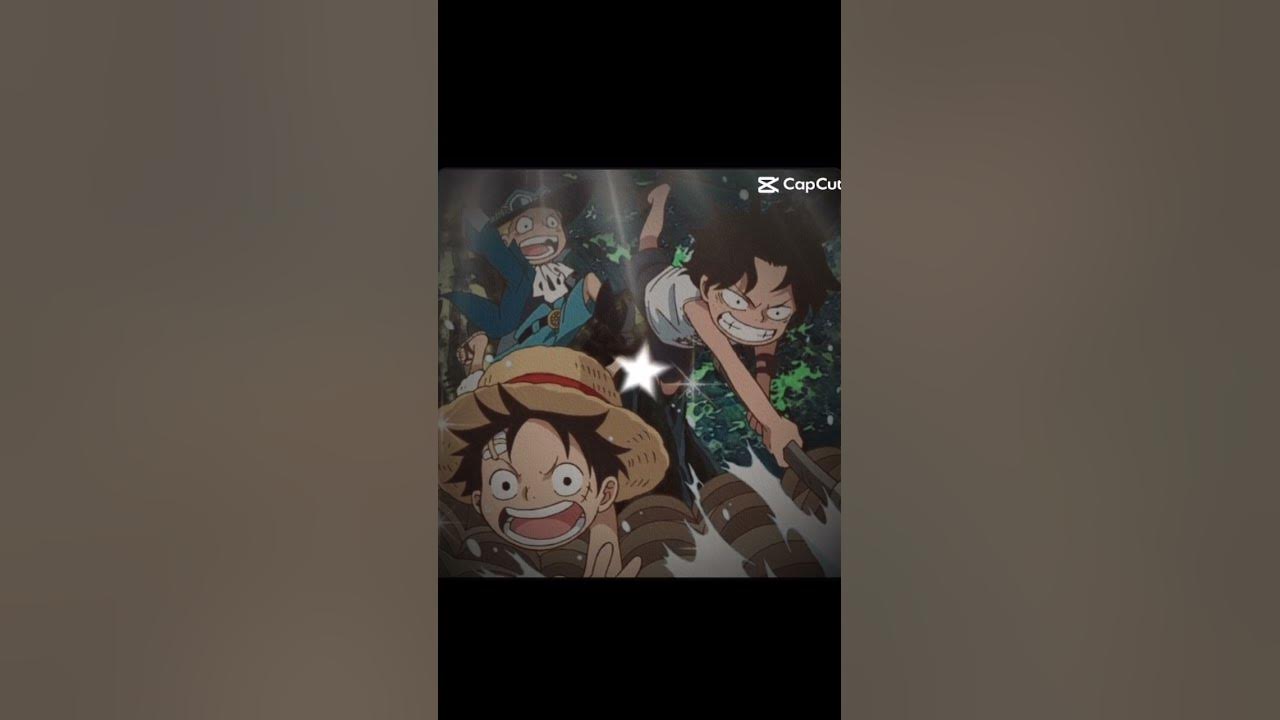 Asl are my babies ngl #onepiece #anime #manga #asl #ace #sabo #luffy