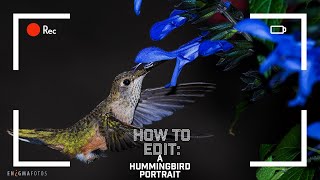 How I Edited This Hummingbird Photo screenshot 5