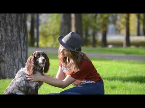 Video: Sådan Træner Du En Russisk Spaniel