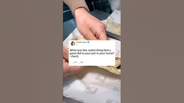 Part3What was the rudest thing that a guest did to your pet in your home?#reddit #story #storytime