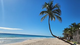 Secrets Tulum Resort  \& Beach Club Full Tour Vlog