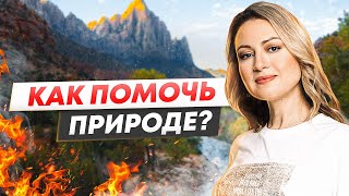 Как помочь природе / Рассказываем мы — решает молодежь