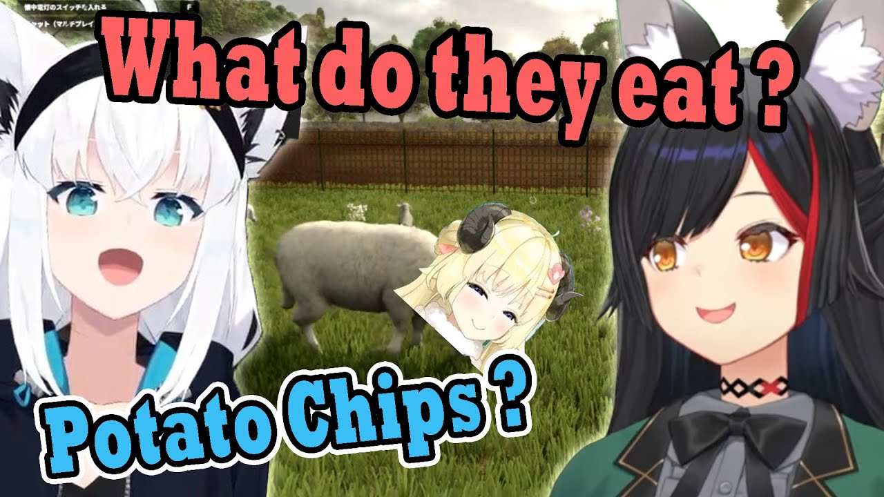 Mio and Fubuki found out the sheep in Farming Simulator is different from the one in Hololive