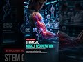 STEM CELLS