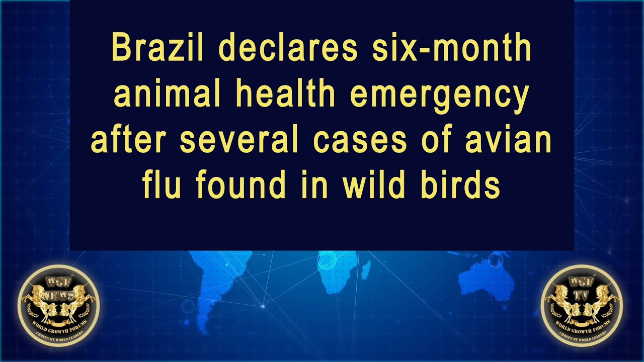 Brazil declares 6-month animal health emergency after several cases of avian flu found in wild birds