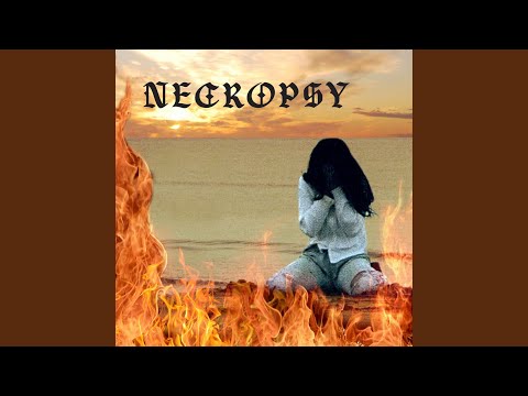 Watch No More Lies on YouTube