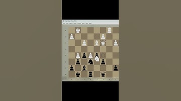 1 028-3/ CHESS GAME: GRANDMASTER-VÍCEMASTER. #chess #chessgame