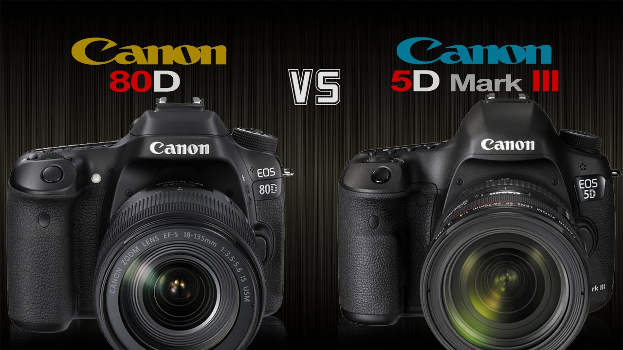 5d vs mark. Canon 6d vs 80d. A6300 vs 5d Mark III. 70 D vs Canon 5d Mark 4.