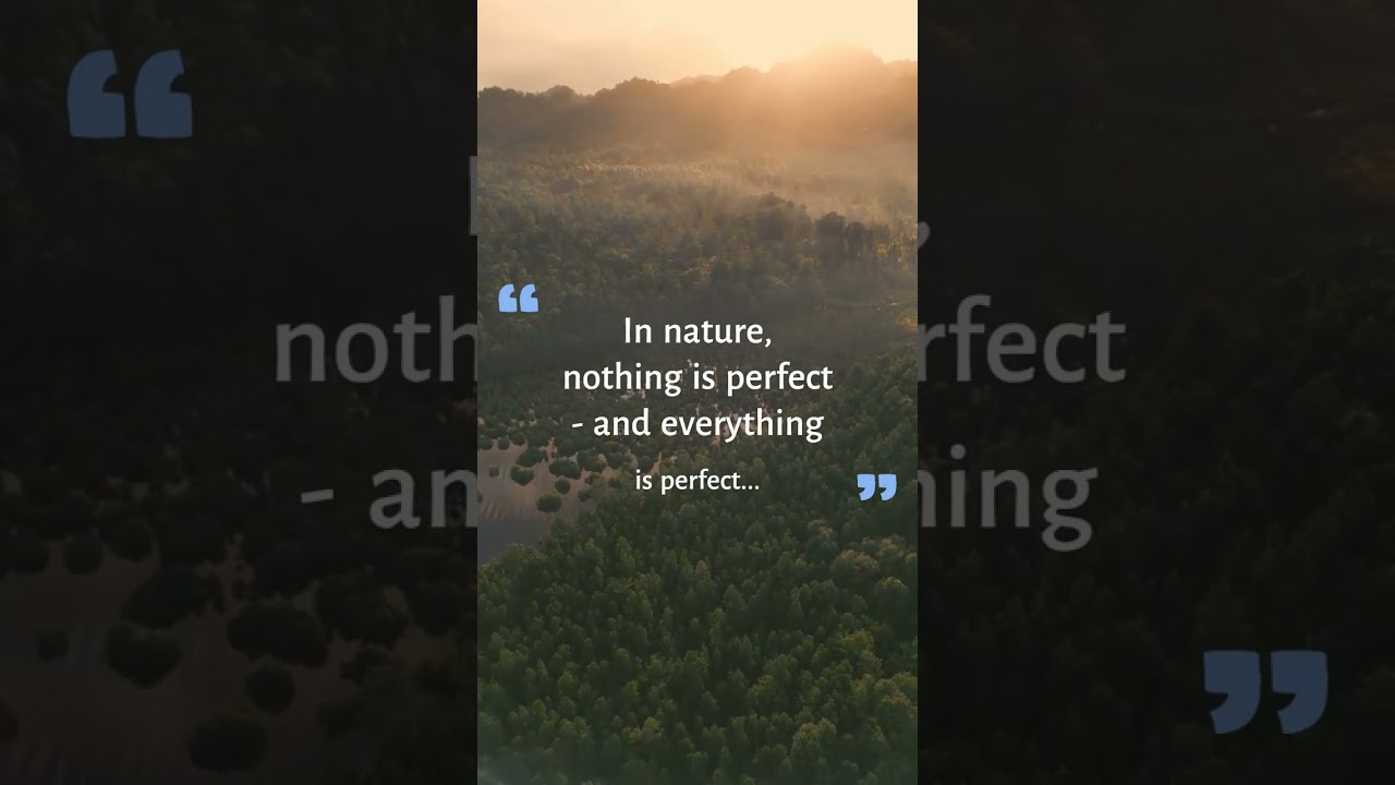 Inspirational Melanesian Island Nature Quotes 