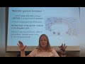 Fertilization and Meiosis