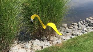 Florida Dancing Birds® Gold Flamingo Garden Art