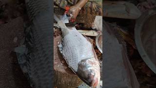 Amazing Big Katla Fish Skinning & Chopping Live In Fish Market