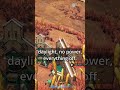 Middle of video