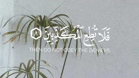 ثال تعالى:(فلا تطع المكذبين) | القارئ حاتم المالكي