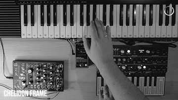 (4K) Decay_Tear Apart_Replace - Chelidon Frame @chelidonframe