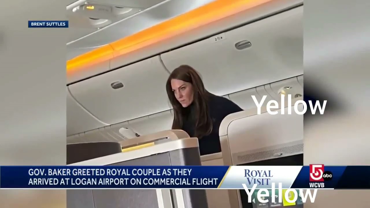 Kate Middleton Has Been Affected By The Phenomena Unimundi Effect (Tinted Blurred Repetitive Yellow)