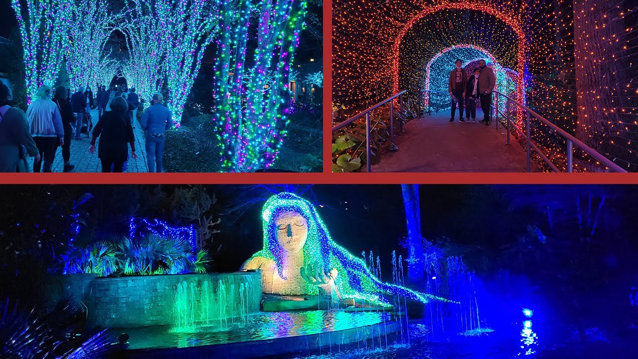 Garden Lights Holiday Nights Visit To Atlanta Botanical Garden Live Tasty Be Happy YouTube