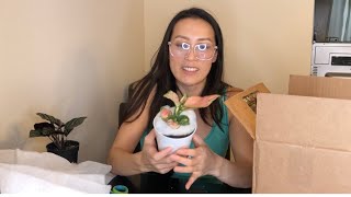 Gabriella Plants Unboxing: first time purchase