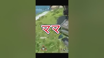 パンダママ🐼(இдஇ; ) #1番下品なapex #apex #パンダ #フルパapex #ff5 #ffv #ファイナルファンタジー #ペクソ #大好き #飲酒apex